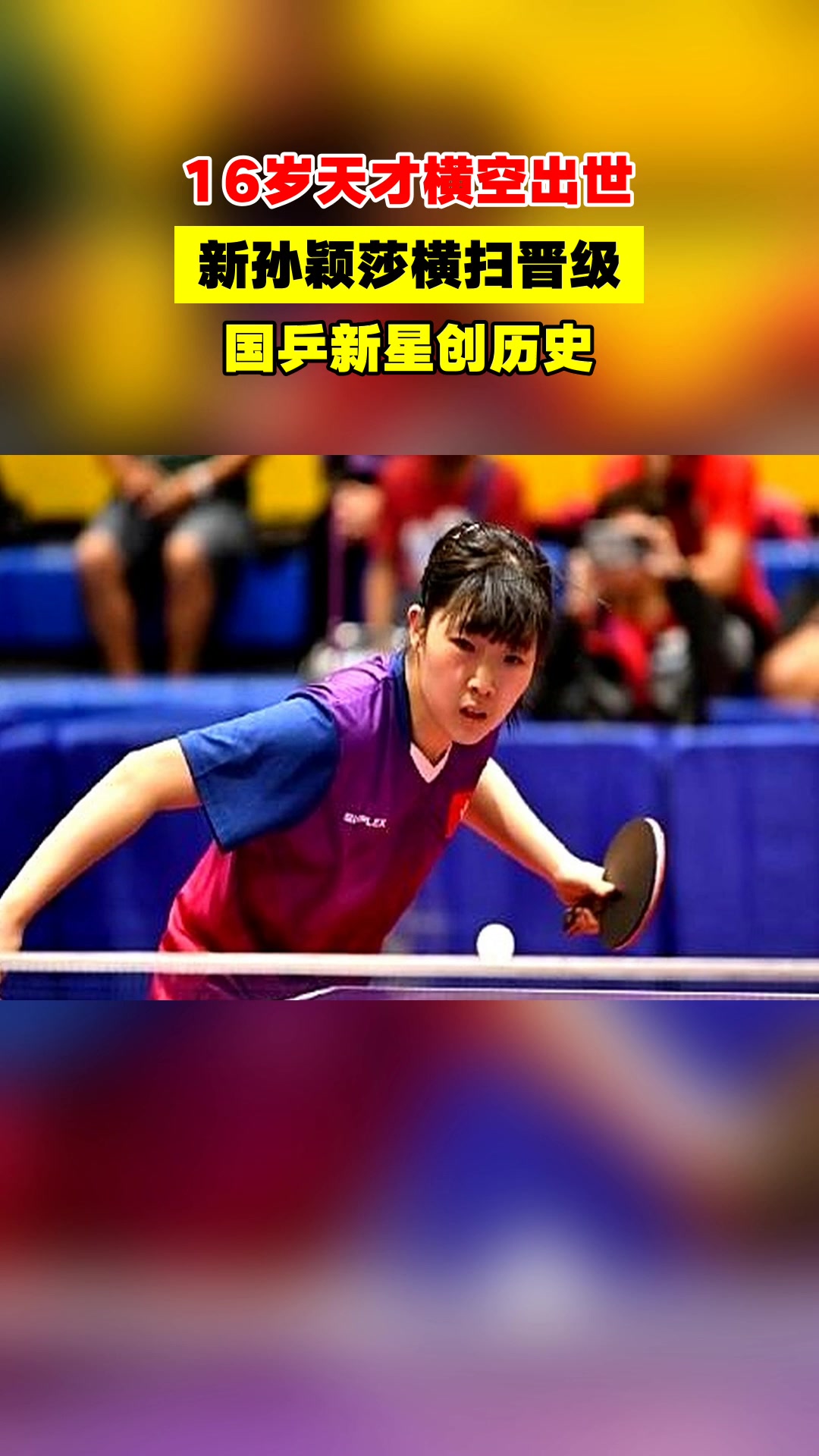 包含年轻新星横空出世，成为球队新希望的词条