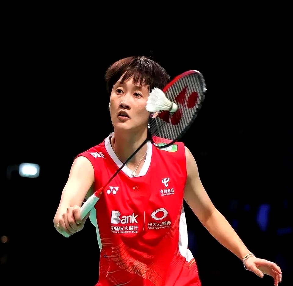 包含德国队逆转日本队，陈雨菲统治全场的词条