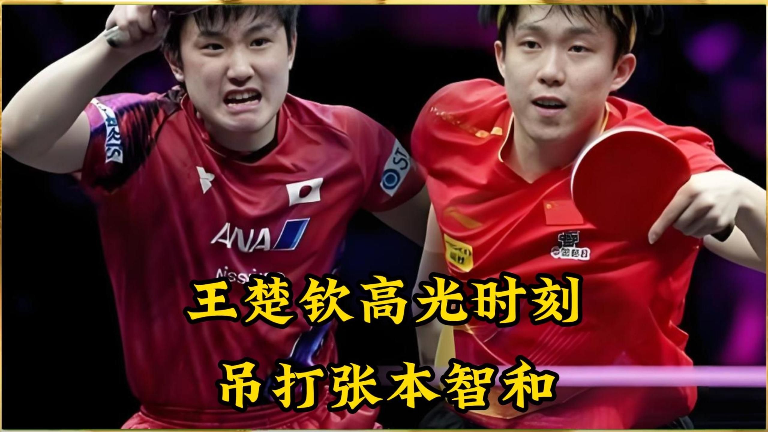 瑞典队绝杀韩国队,张本智和高光表现的简单介绍 瑞典队绝杀韩国队,张本智和高光表现的简单介绍