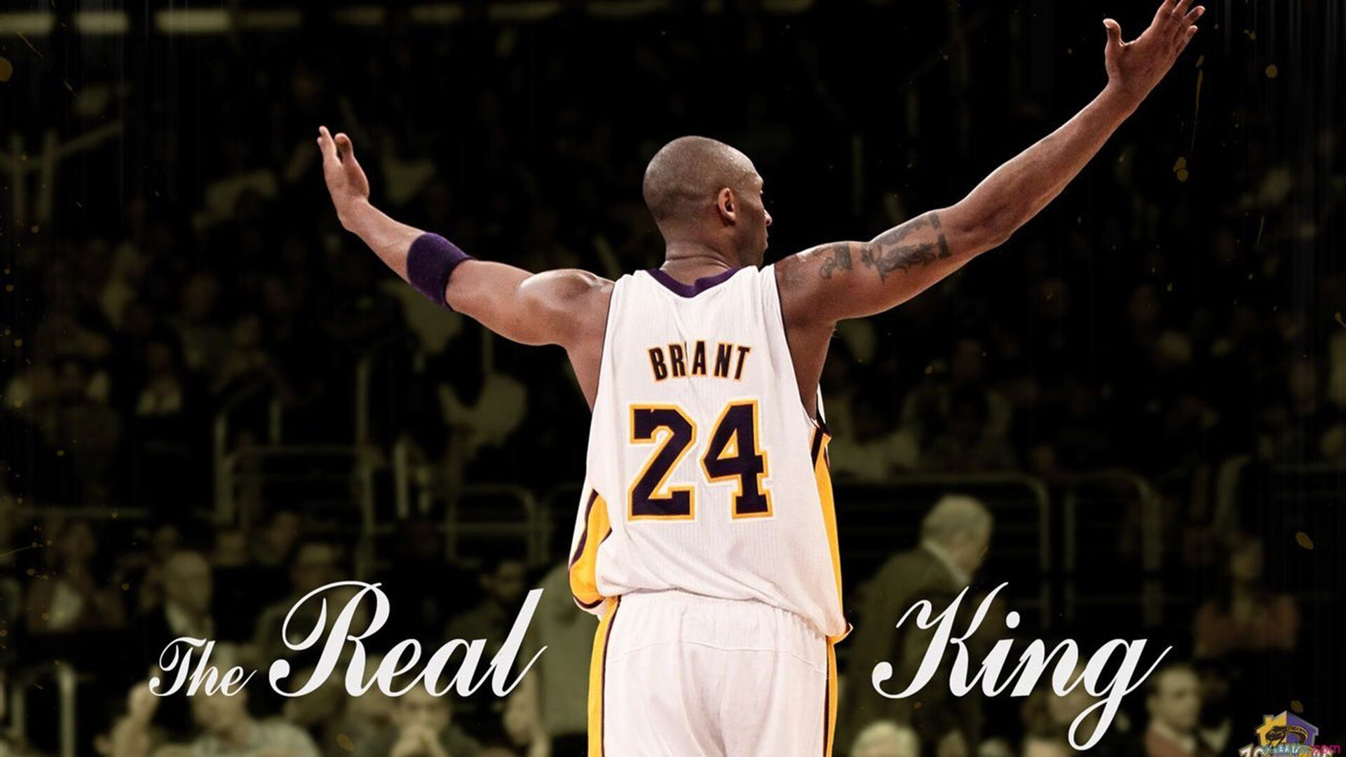 爱德华兹的指挥棒，新疆队如何以节奏掌控击溃爵士